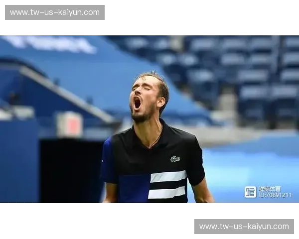 美网制胜分统计：洞悉胜负背后的关键因素